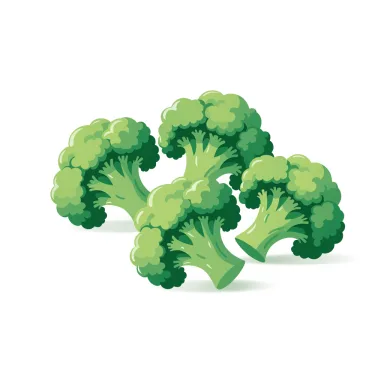 Illustration of broccoli, raw