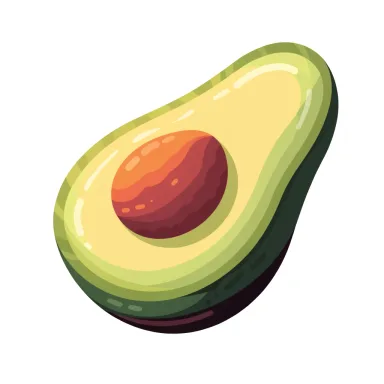 Illustration of avocado